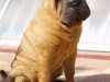 Oskar