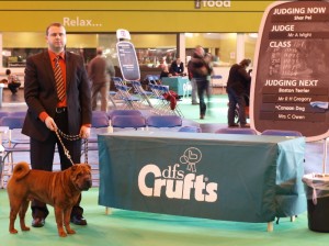 Crufts 2010