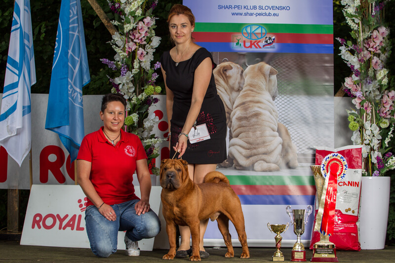 AMADEUS-BRAMASOLE Club Winner, BOB