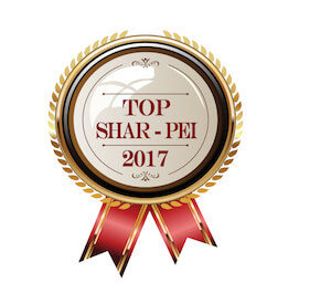 súťaž TOP SHAR PEI ROKA