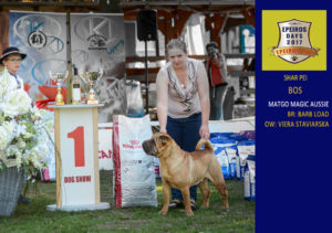 Špeciálna výstava Epeiros cup 2017