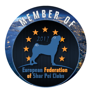 member-3000x300