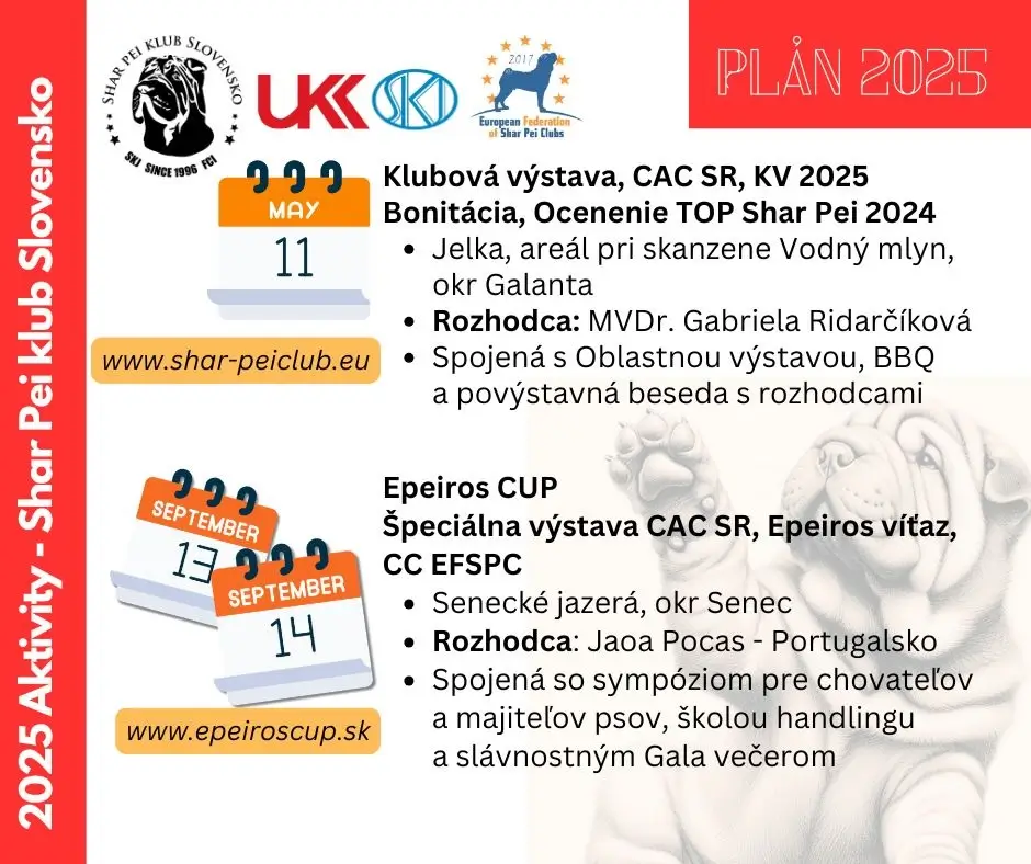Aktivity 2025